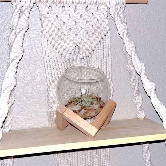 🌵 Cactus/ Succulent/Air Plants Glass Planter with Wooden Stand - Picture 9 of 9
